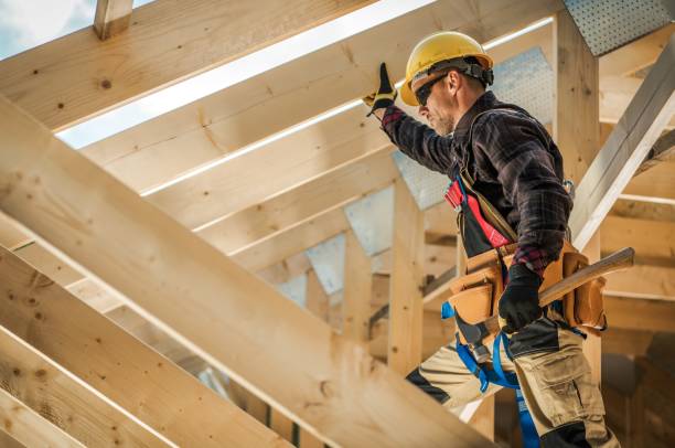 Best Roof Gutter Cleaning  in Surgoinsville, TN
