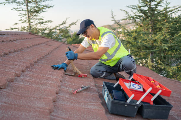 Best Storm Damage Roof Repair  in Surgoinsville, TN